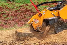 How Our Tree Care Process Works  in  Ketchum, ID