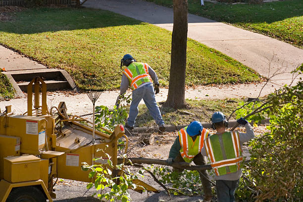 Best Lawn Drainage Solutions  in Ketchum, ID